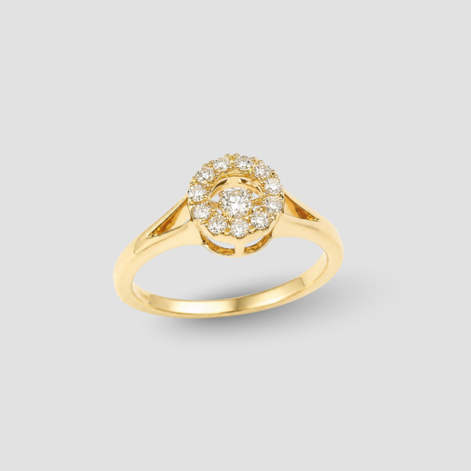 Cincin Menari Halo Orbit