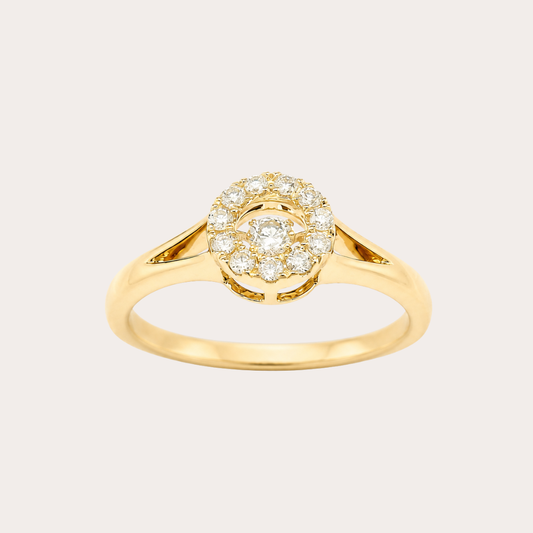 Cincin Menari Halo Orbit